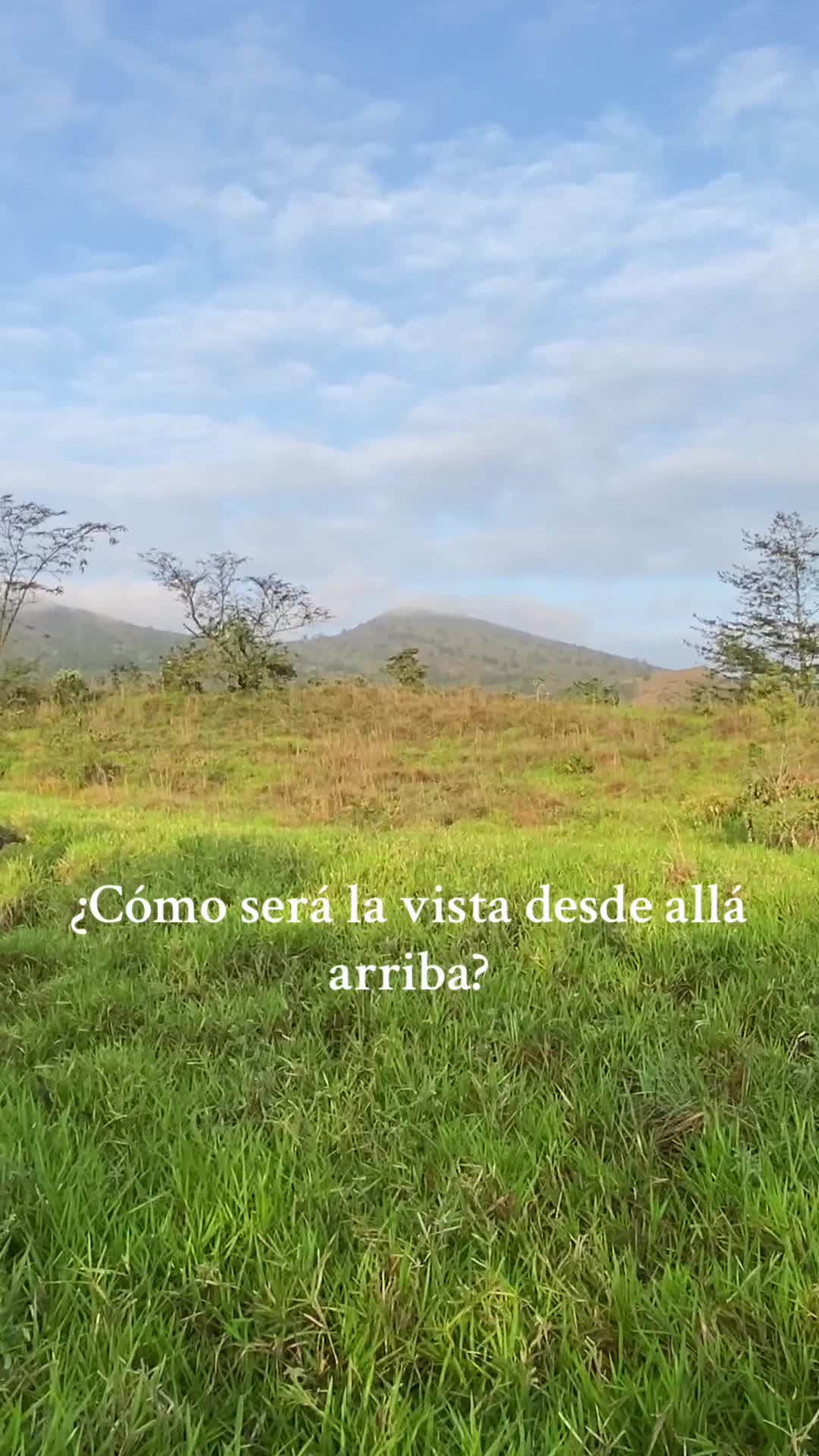 @Soyfroi
