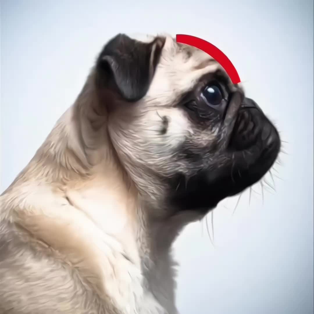 @Psl.looksflexer