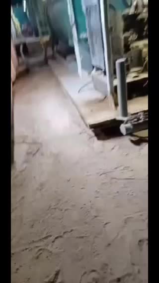 @Anibal 🇬🇹💪💵🛢️