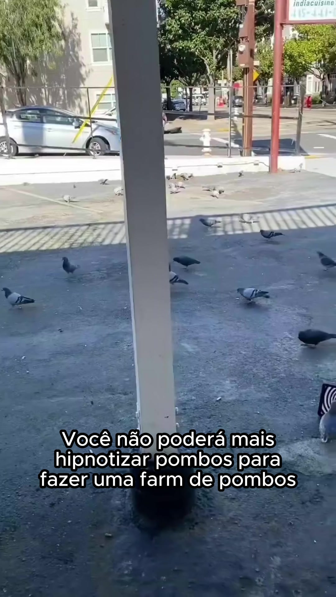 @Terra Updates Oficial