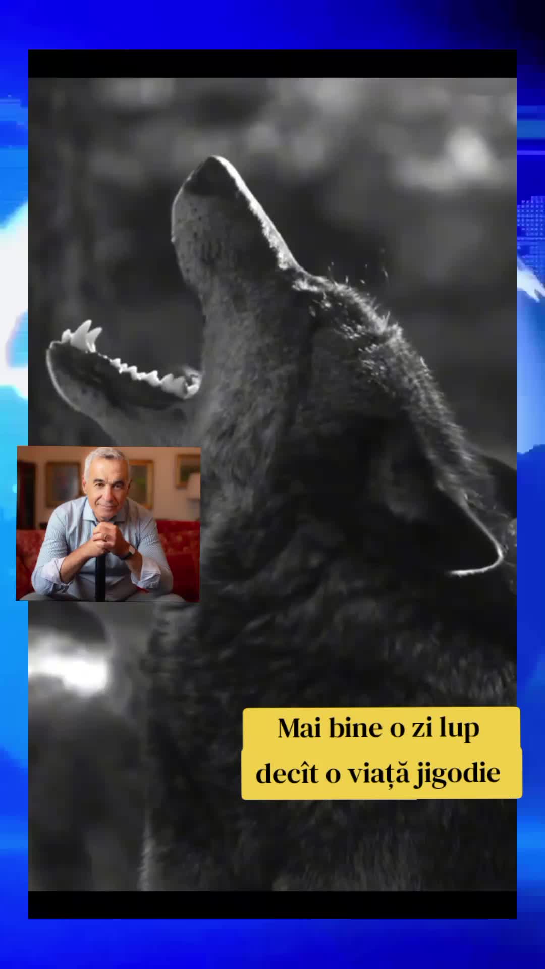 @Catalin Dutcă