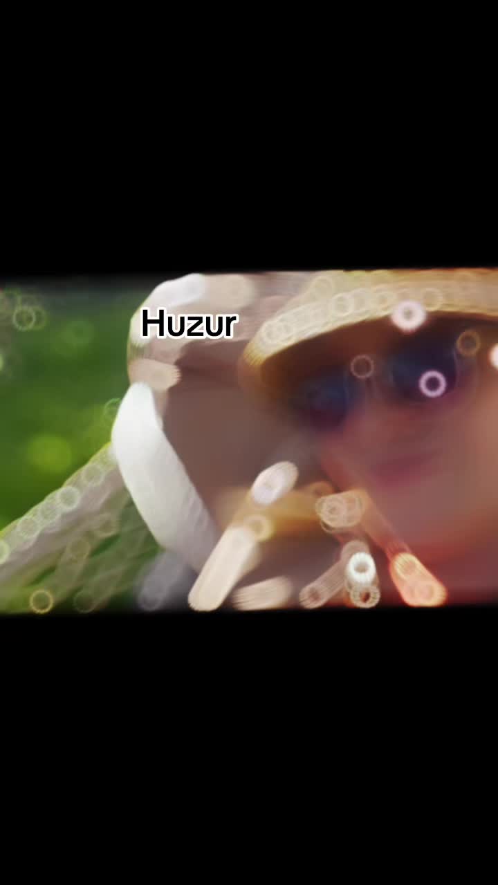 @G&uuml;l G&uuml;zel 🌹