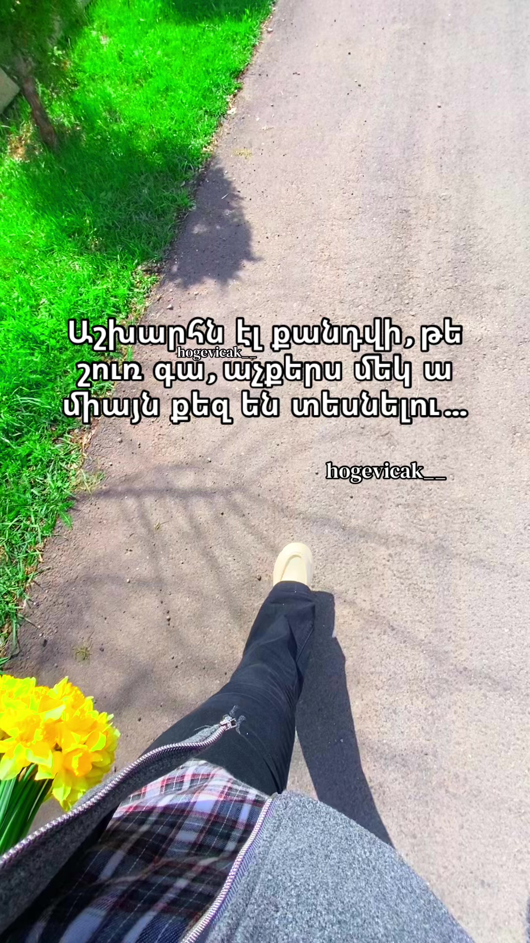 @hogevicak__