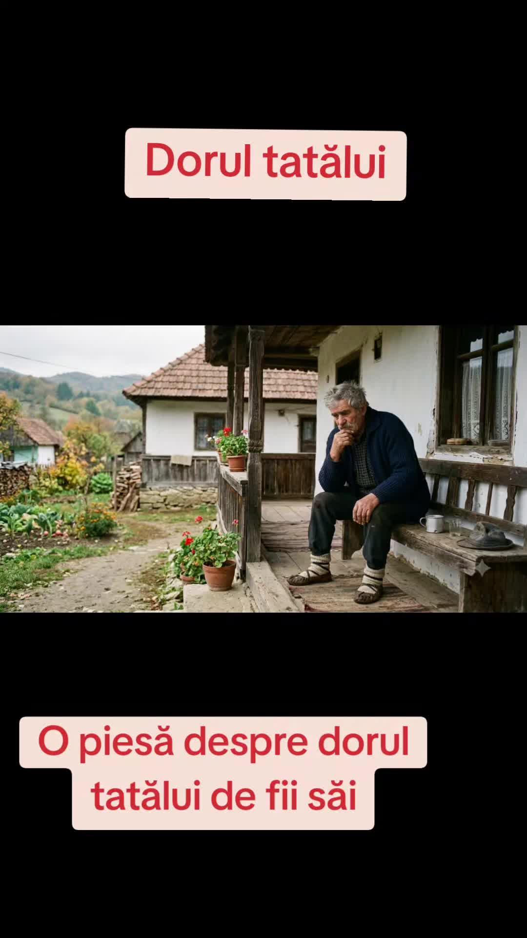 @muzica de calitate