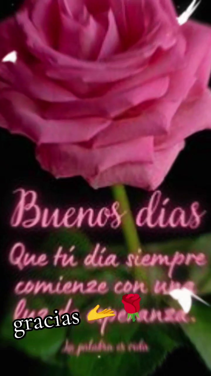 @rafaeela3 leticianovoa1