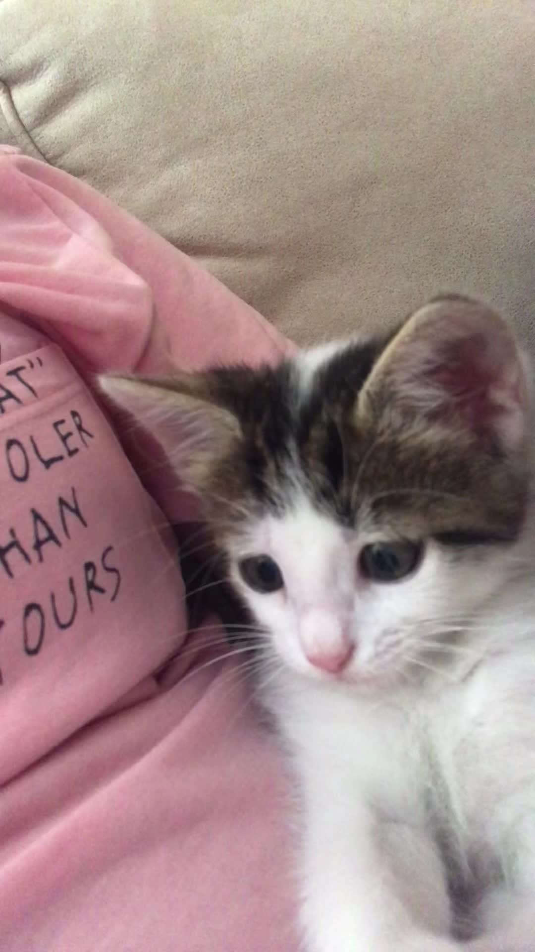 @Kiki