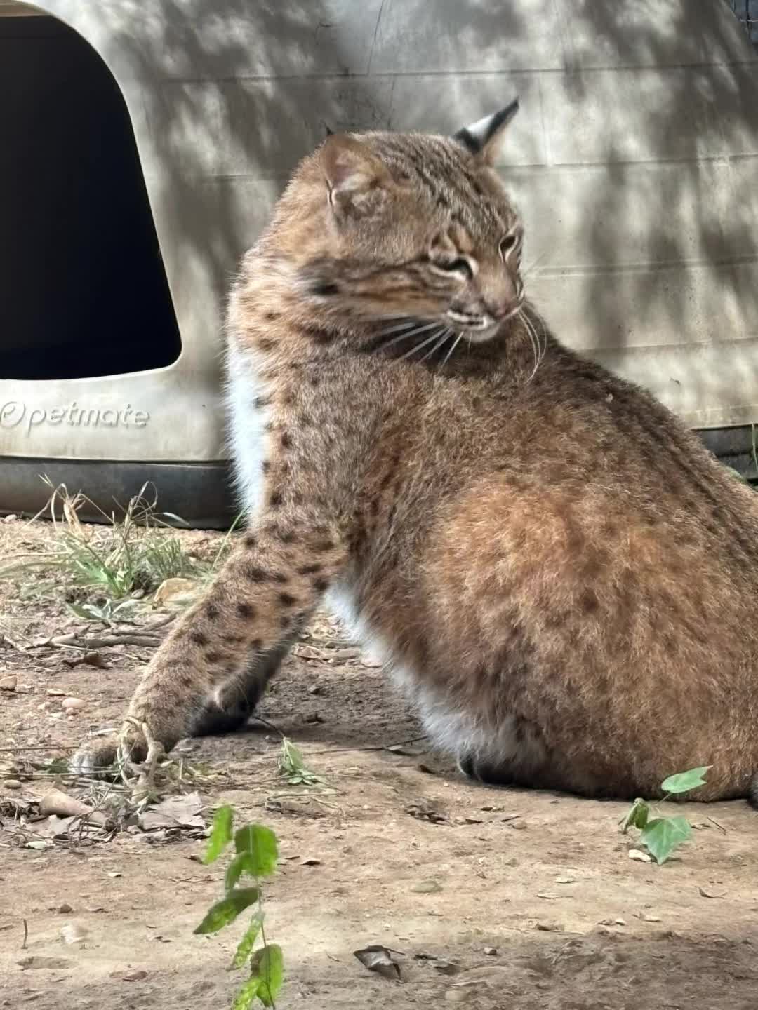 @Cedarhill Animal Sanctuary