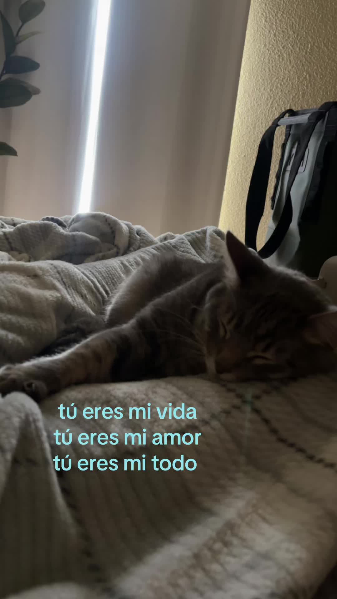 @𝒟𝒶𝒾𝓁𝑒𝑒𝓃