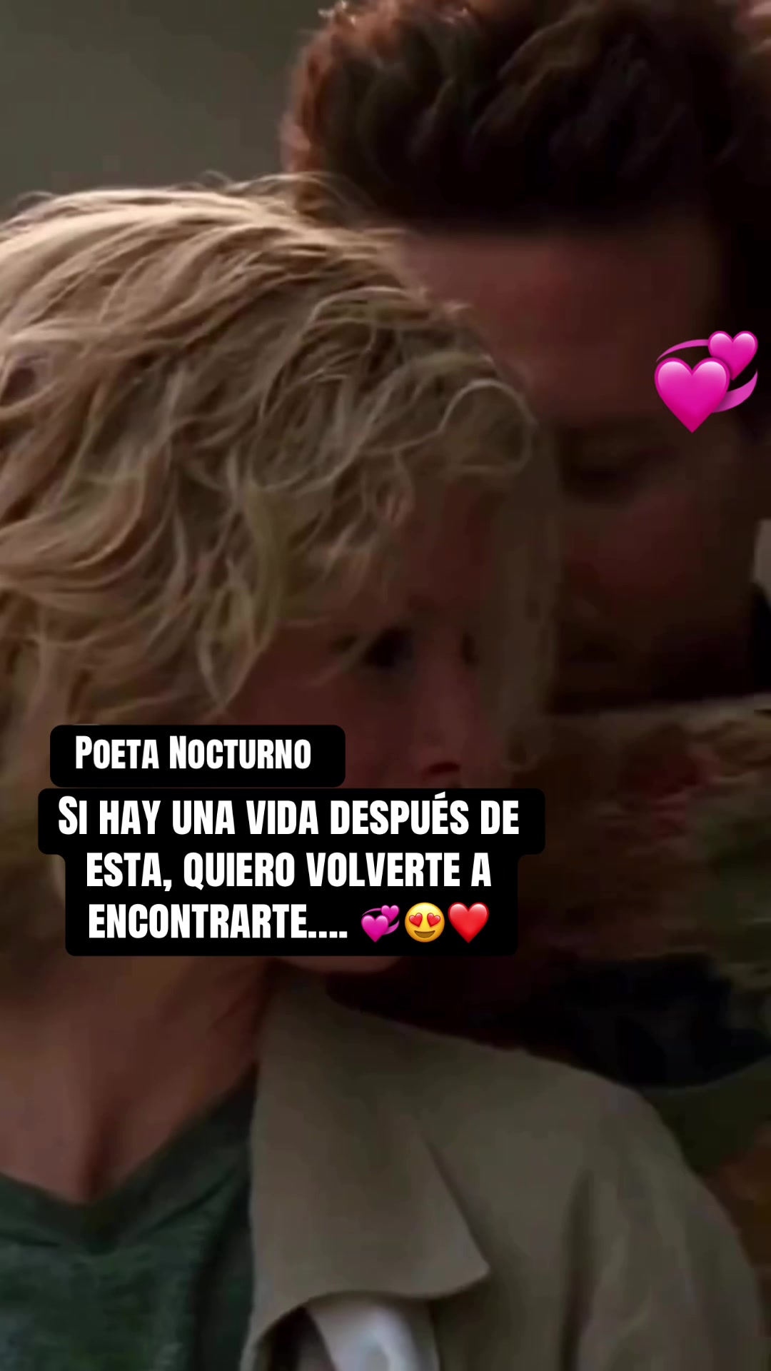 @Poeta Nocturno 503