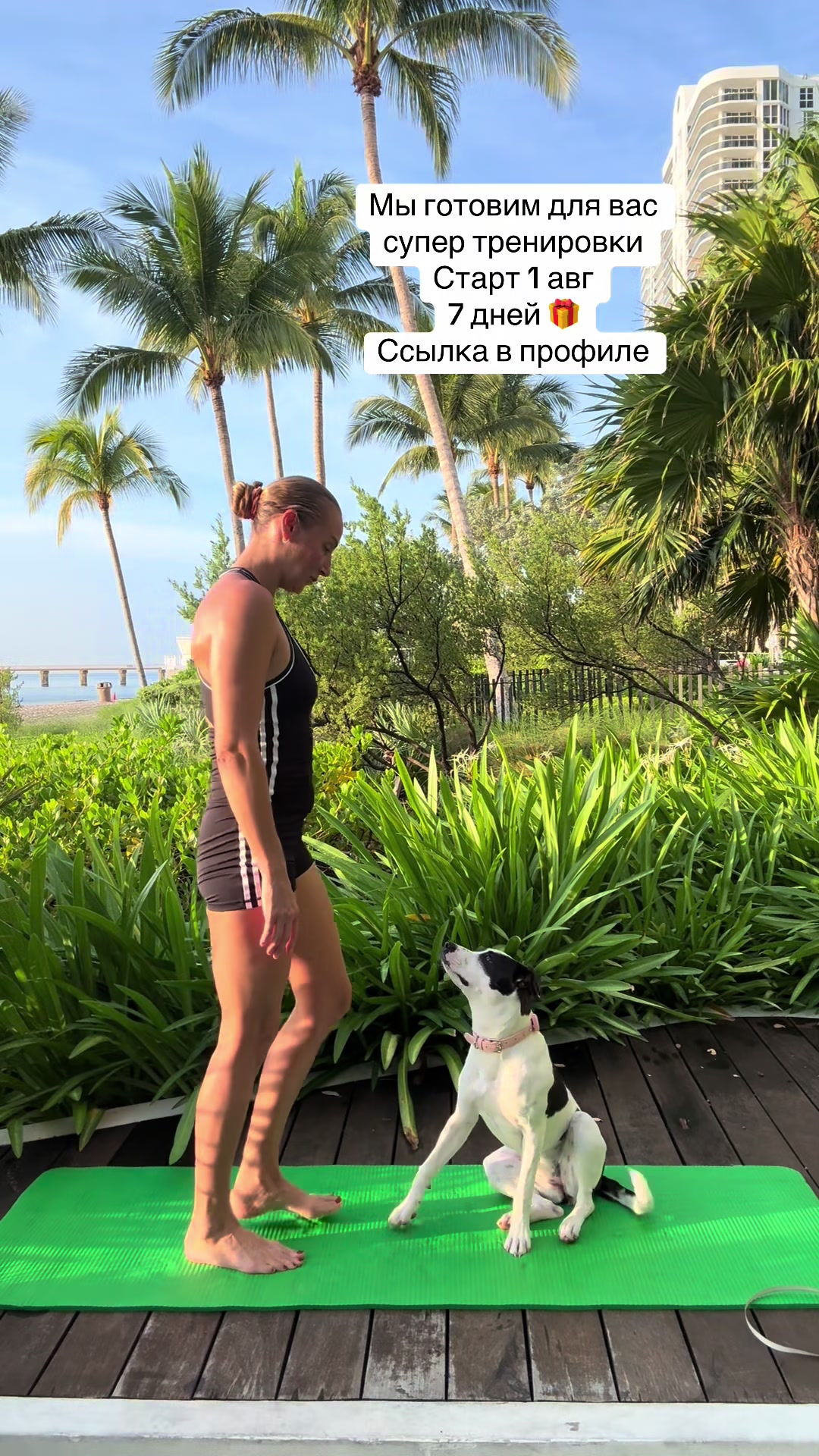 @bodyvoice.fit