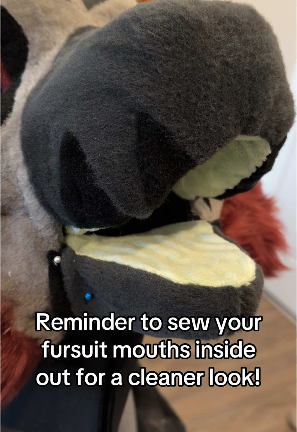 @FruitbatFursuits > ANW