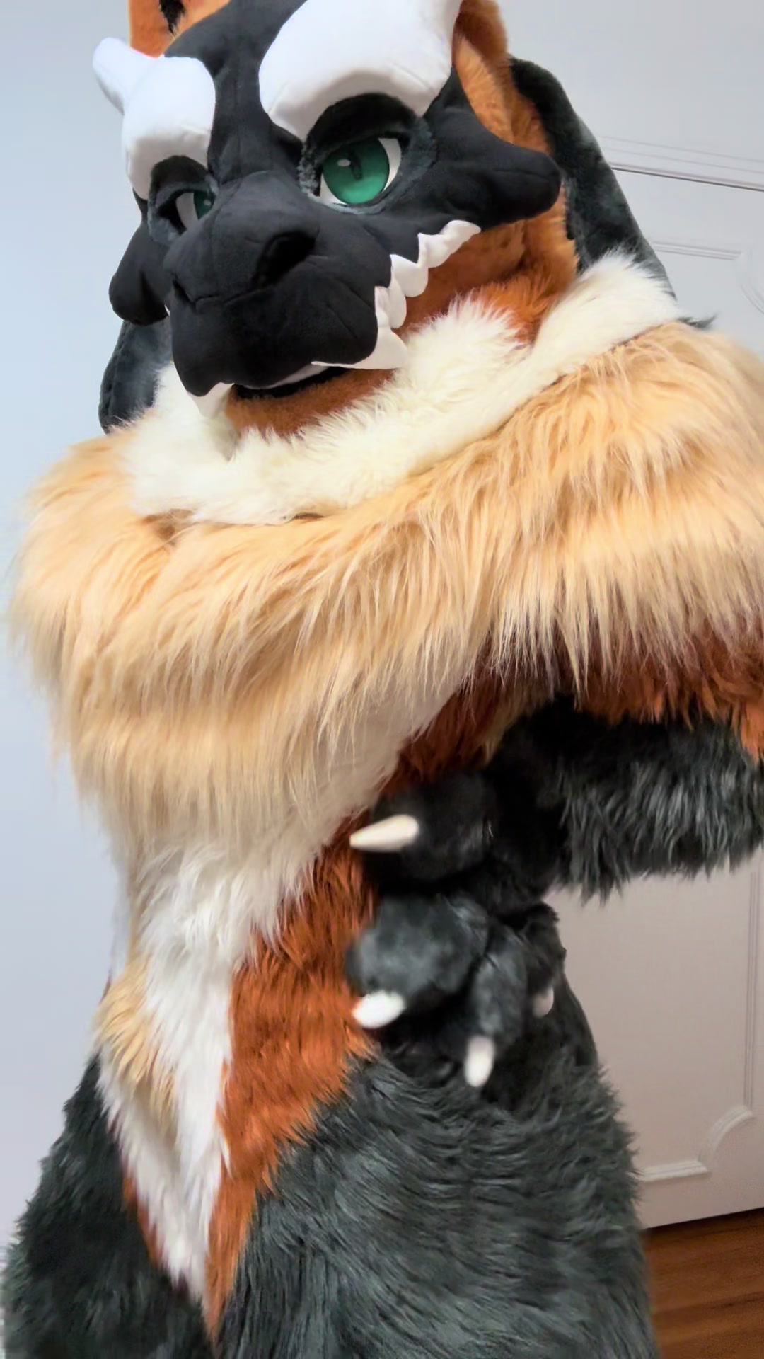 @Gyer 🔜 MEGAPLEX