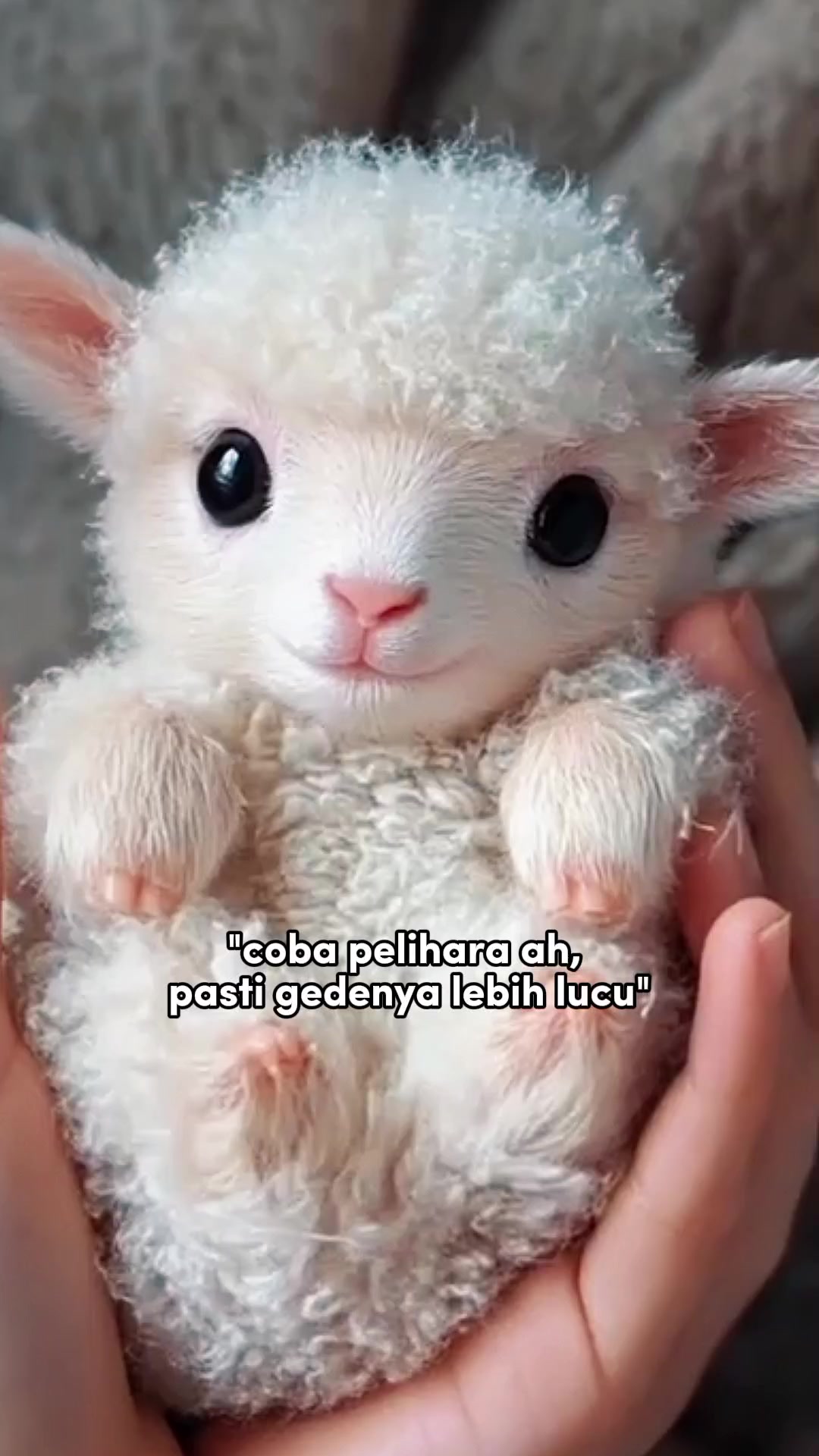 @BYUN REINA