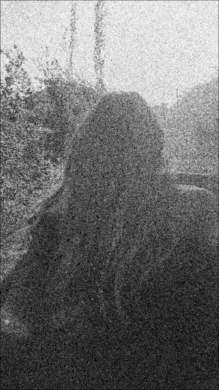 @. A 🍁