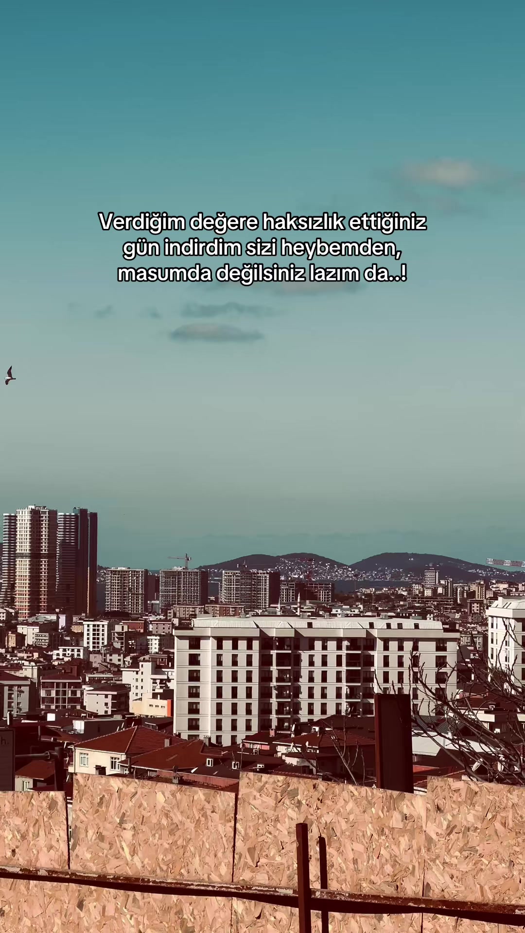 @𝘚𝘵𝘰𝘳𝘺 𝘚𝘢𝘺𝘧𝘢𝘮💫