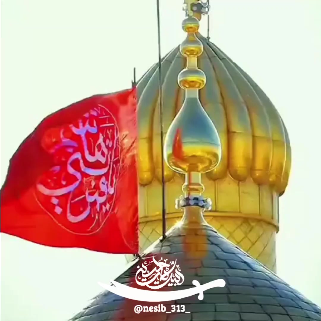 @nesib_313_