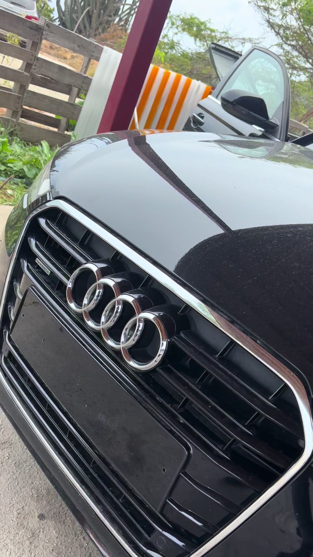 @La casa del tint