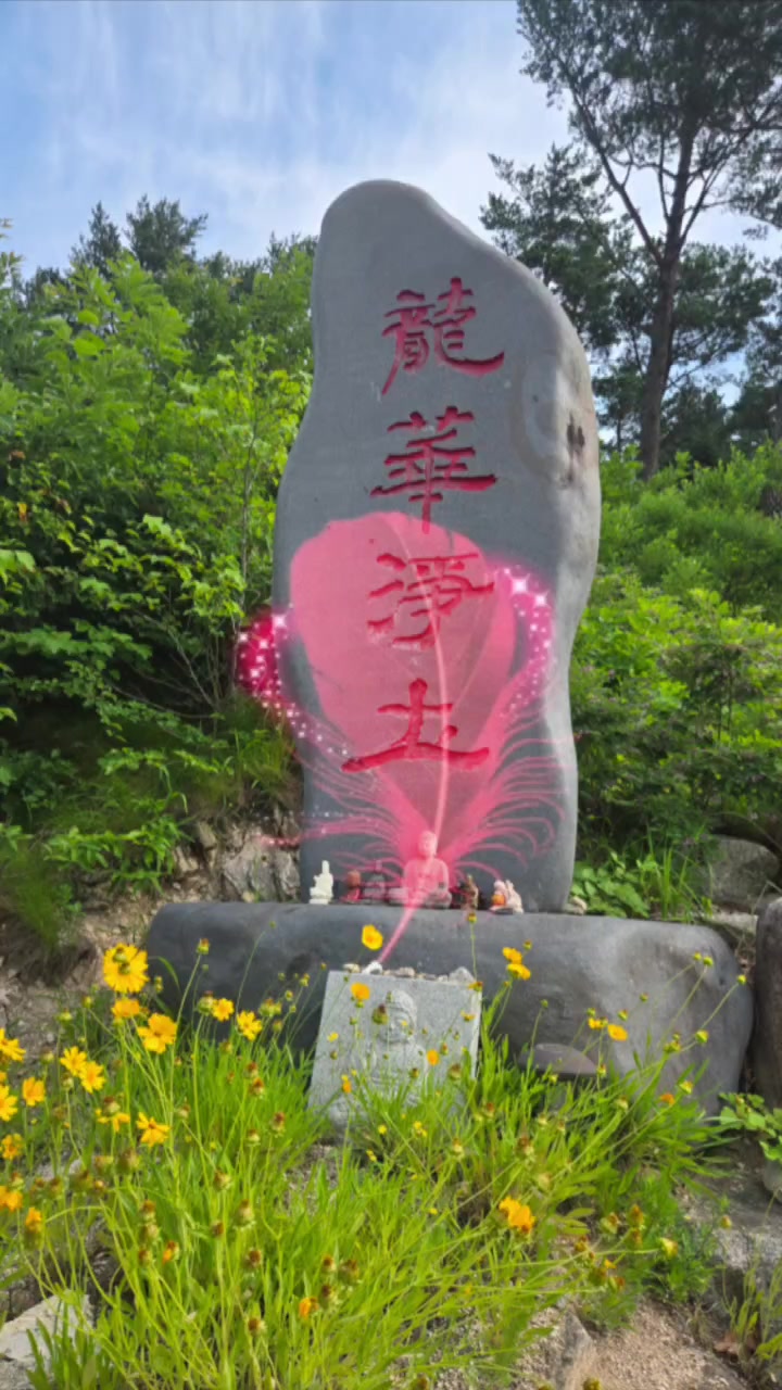 @쑥부쟁이