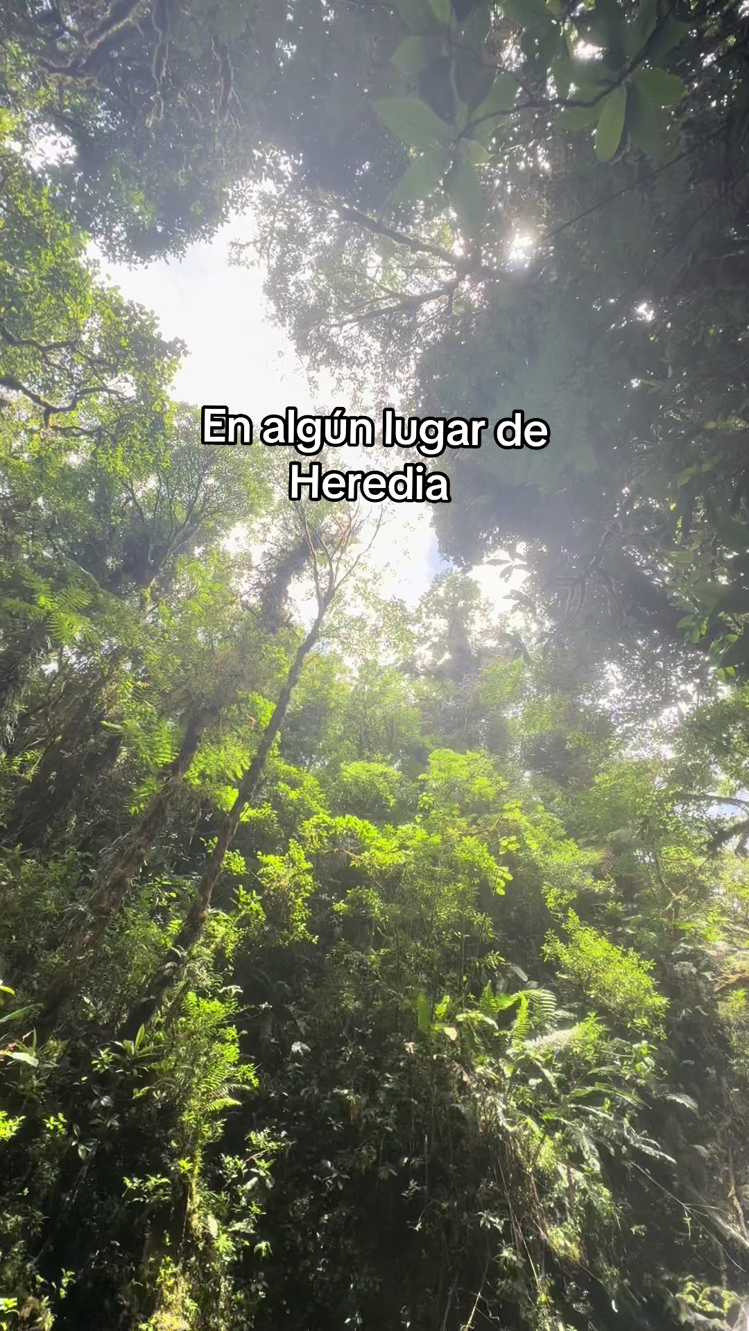 @Esteban Ramirez