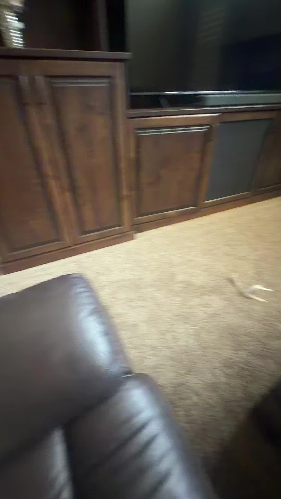 @bentleytheg0at