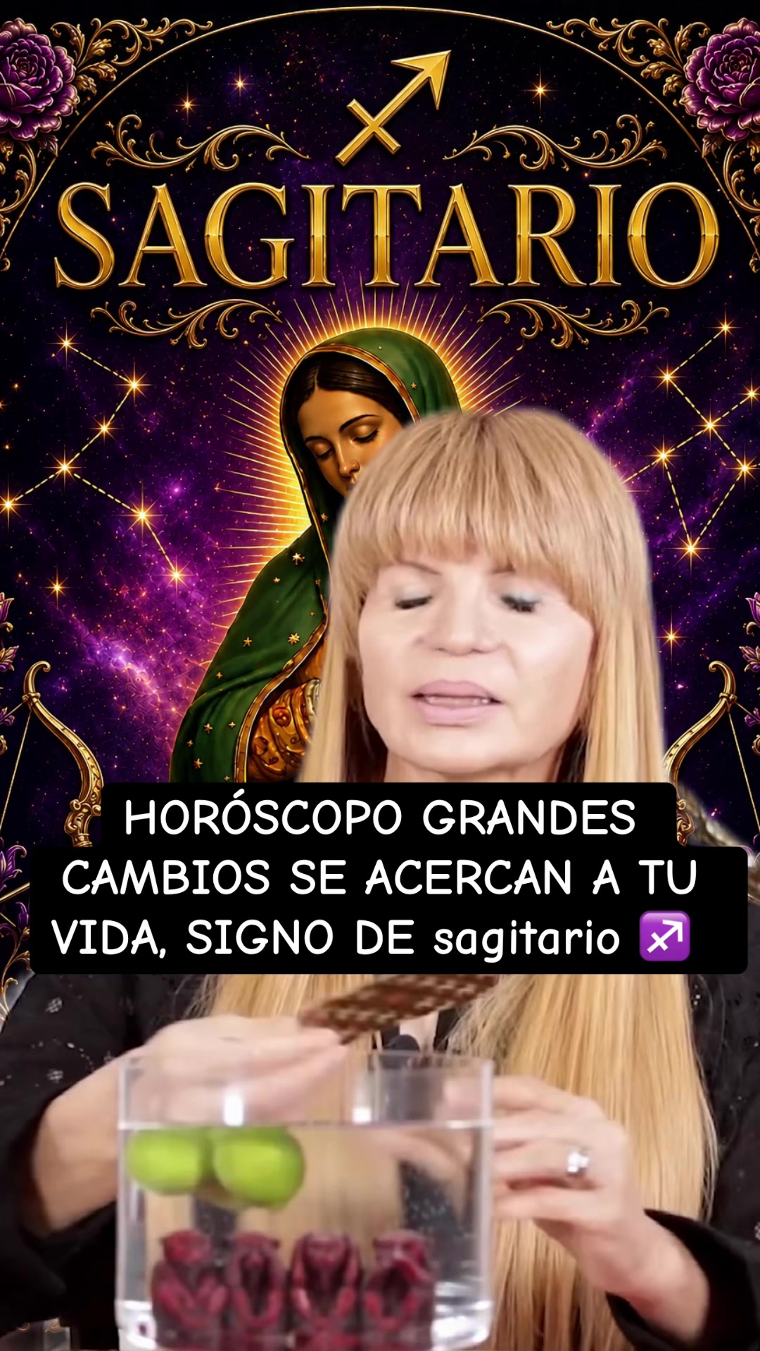 @✨ORÁCULO 13 ✨
