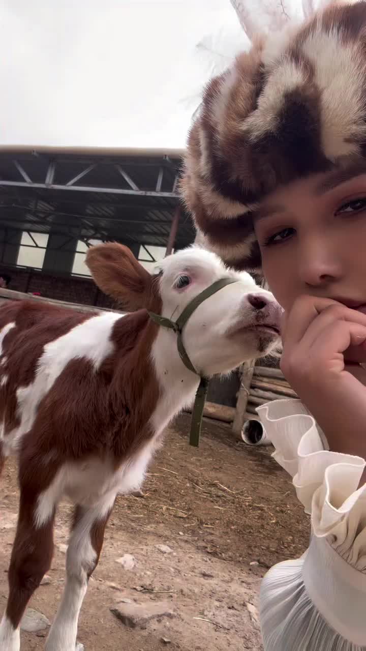 @rizaa