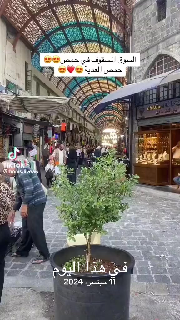 @Vilda makhoul