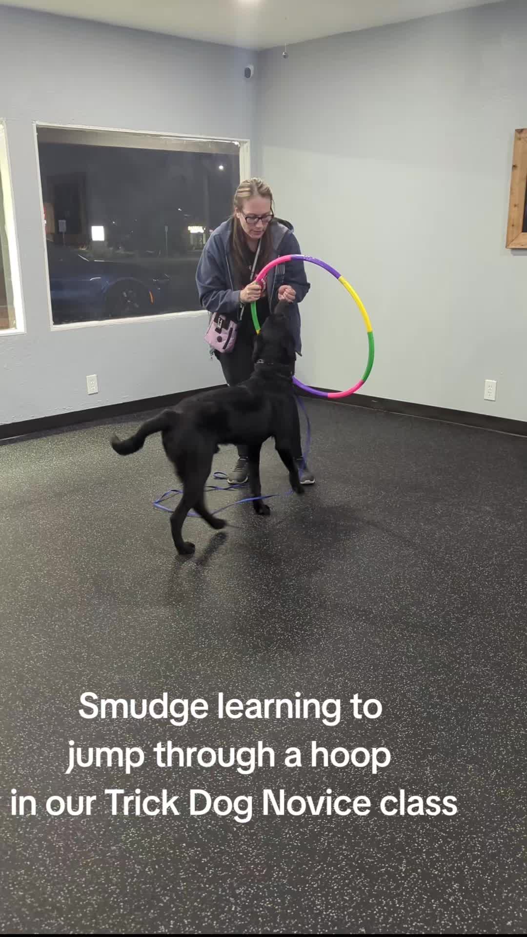 @South Paw Dog Training LLC