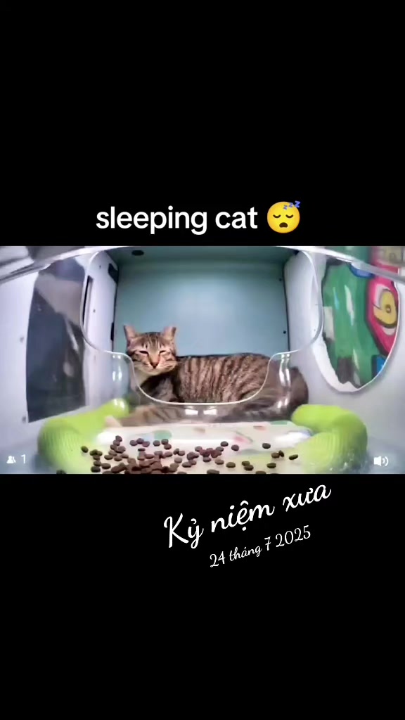 @Meo Meo 😋