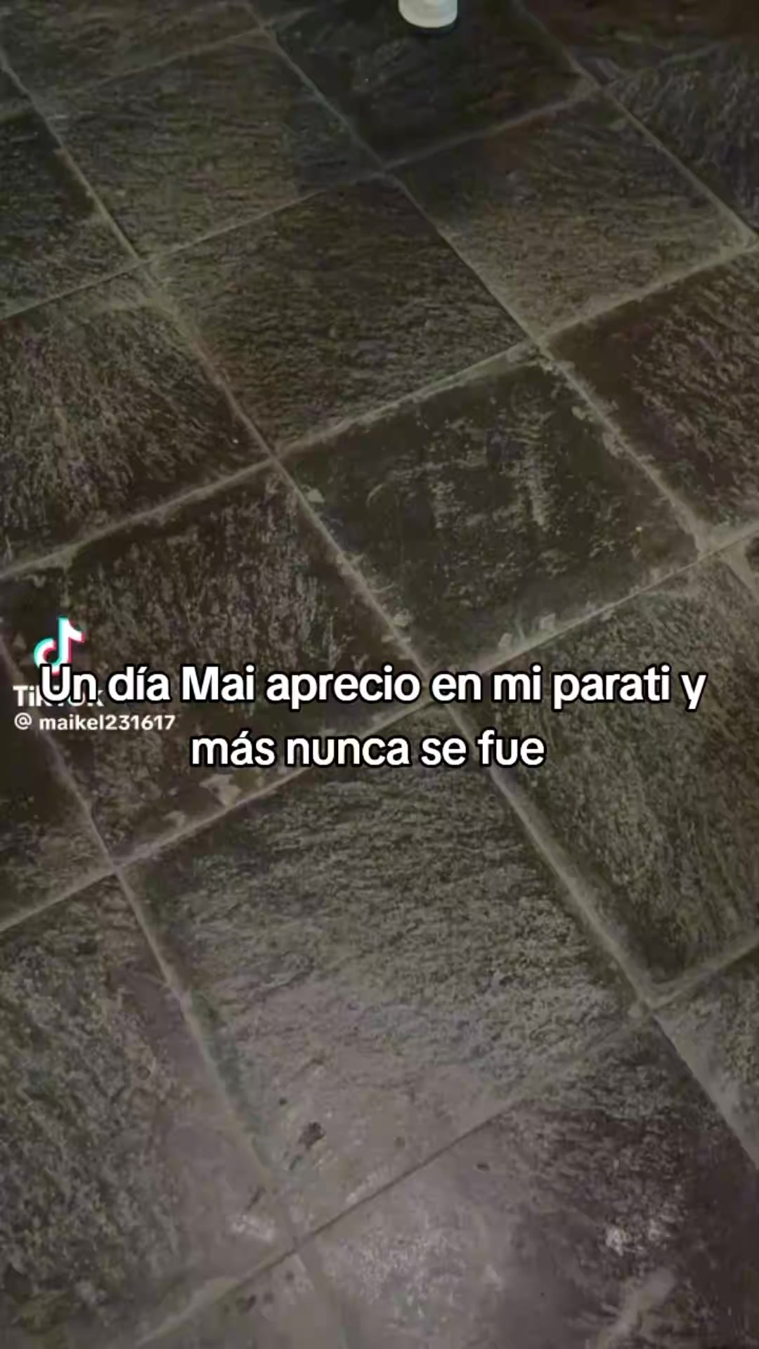 @Topsy🌪️🐭