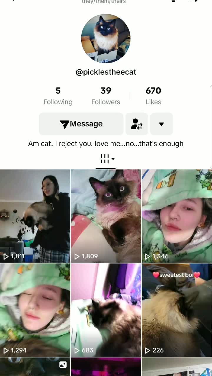 @PicklesTheCat2