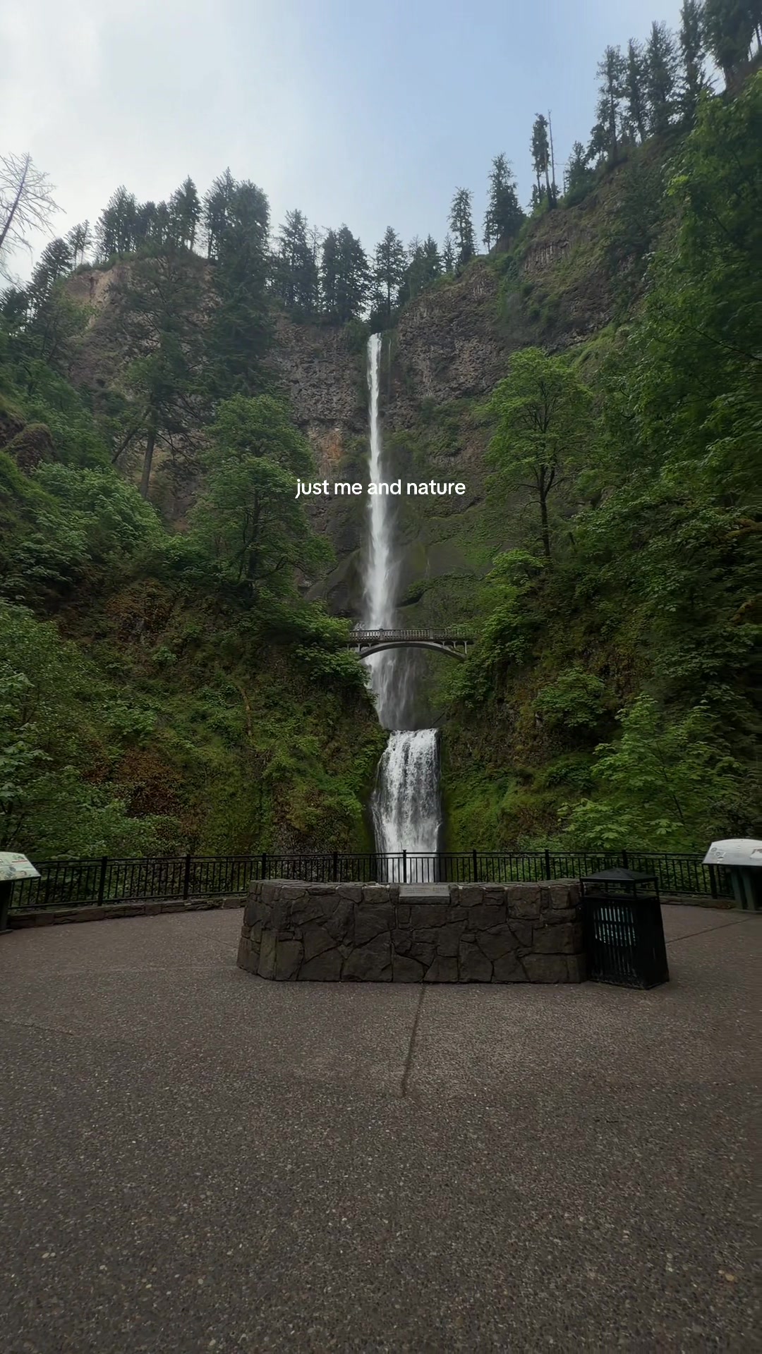 @elissapnw🌲🌊💫