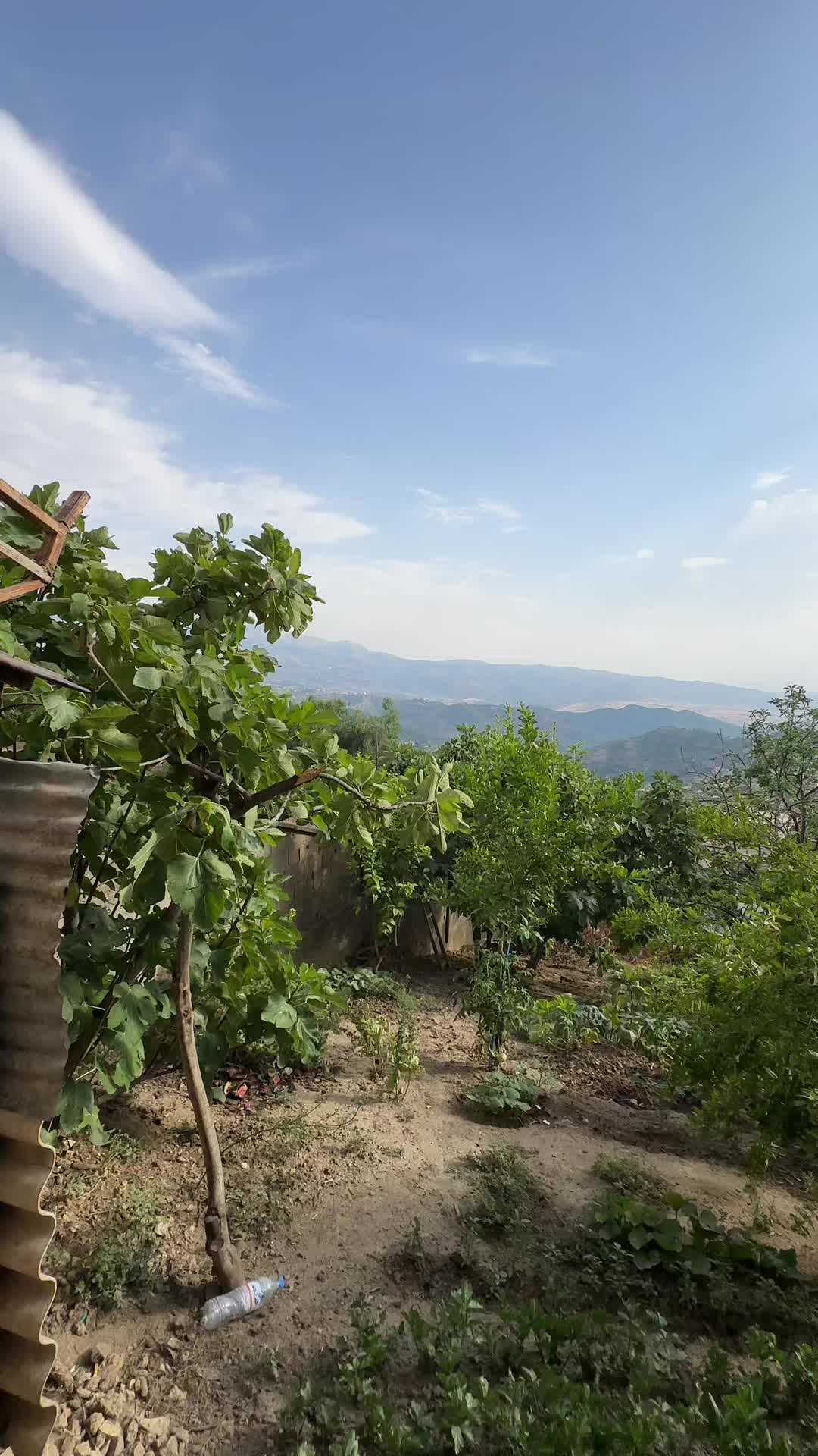 @Mouh_Elmahi 
