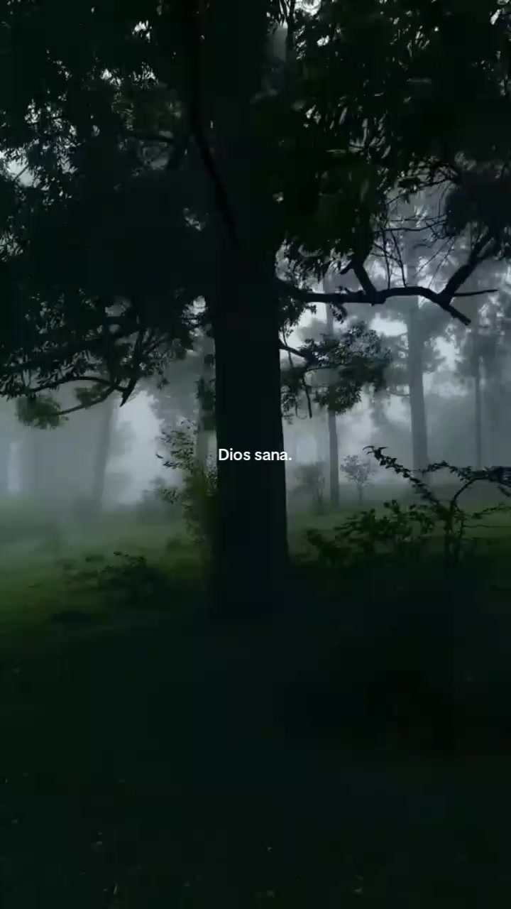 @normitha23