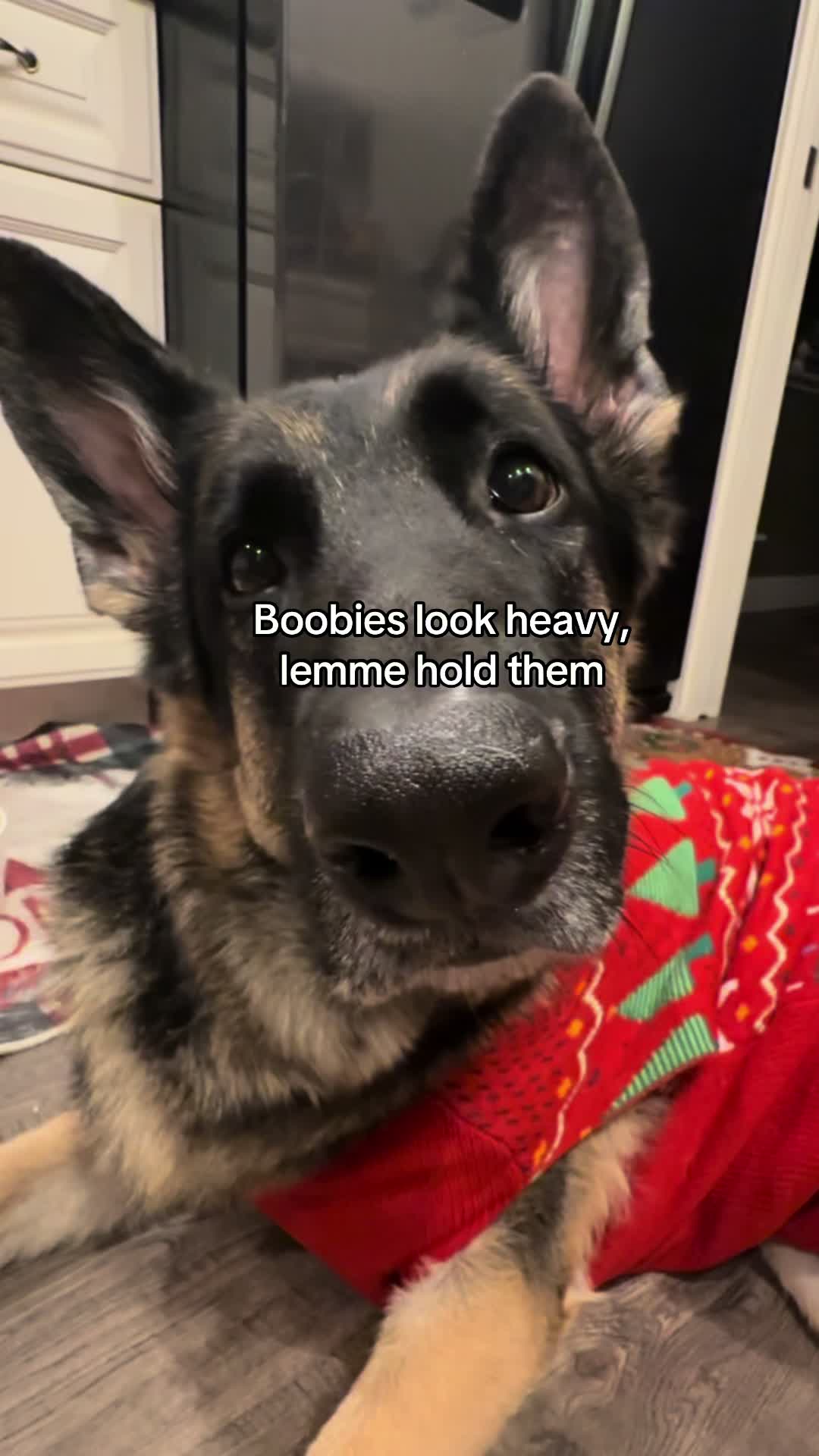 @Bhris
