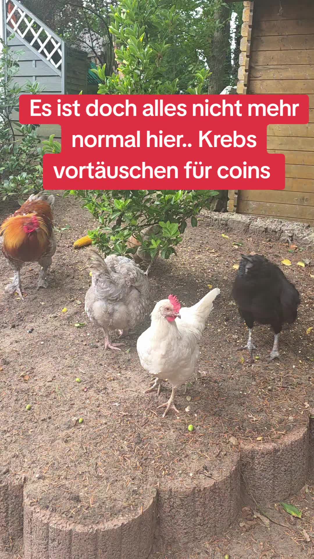 @Janine&Schatzi die echten