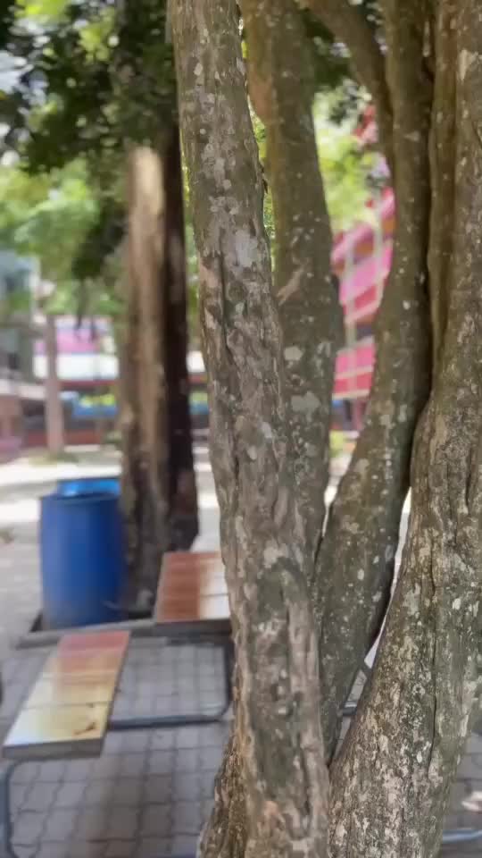 @Thiyawat.