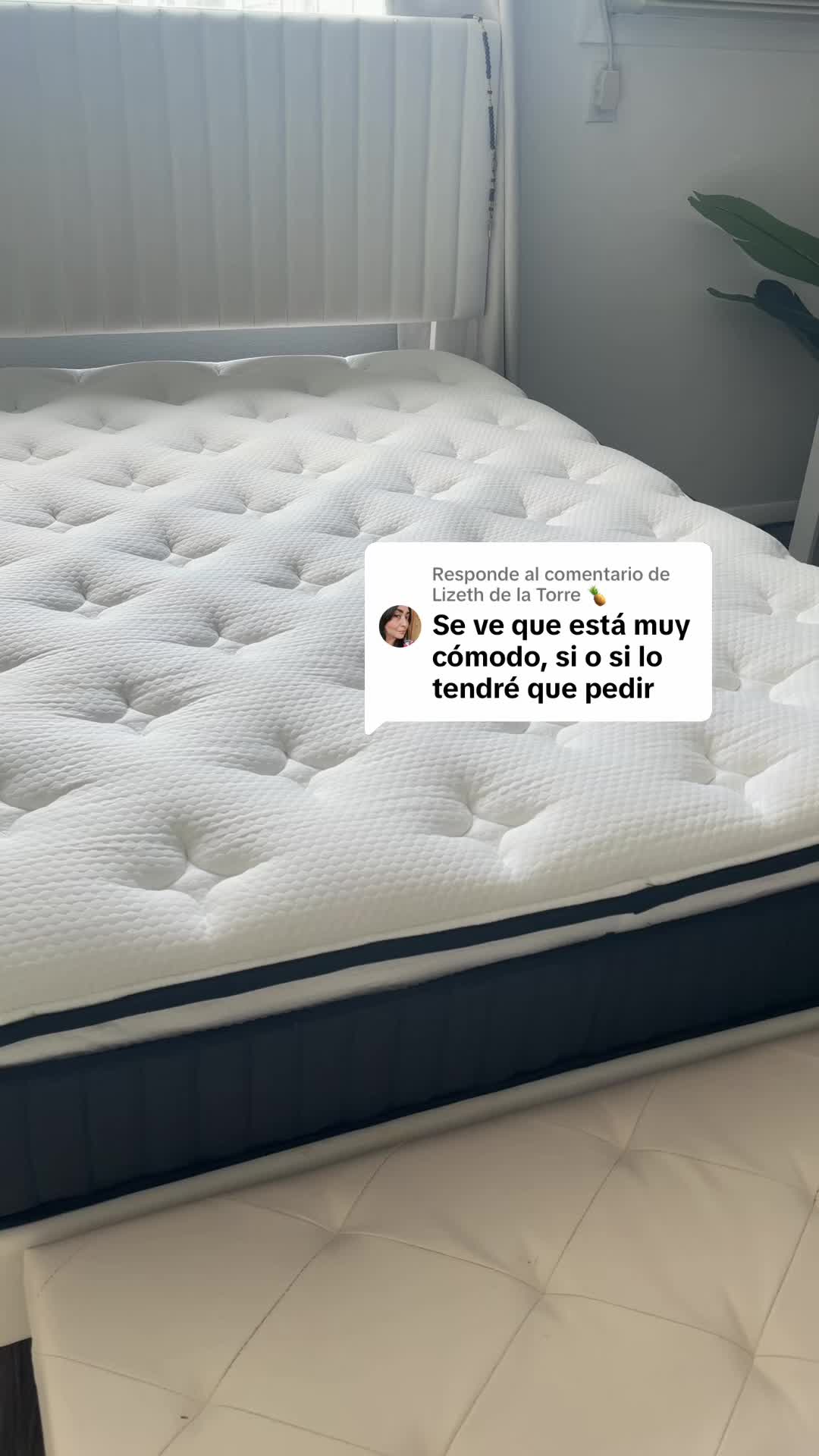 @María Colmenares 🇺🇸
