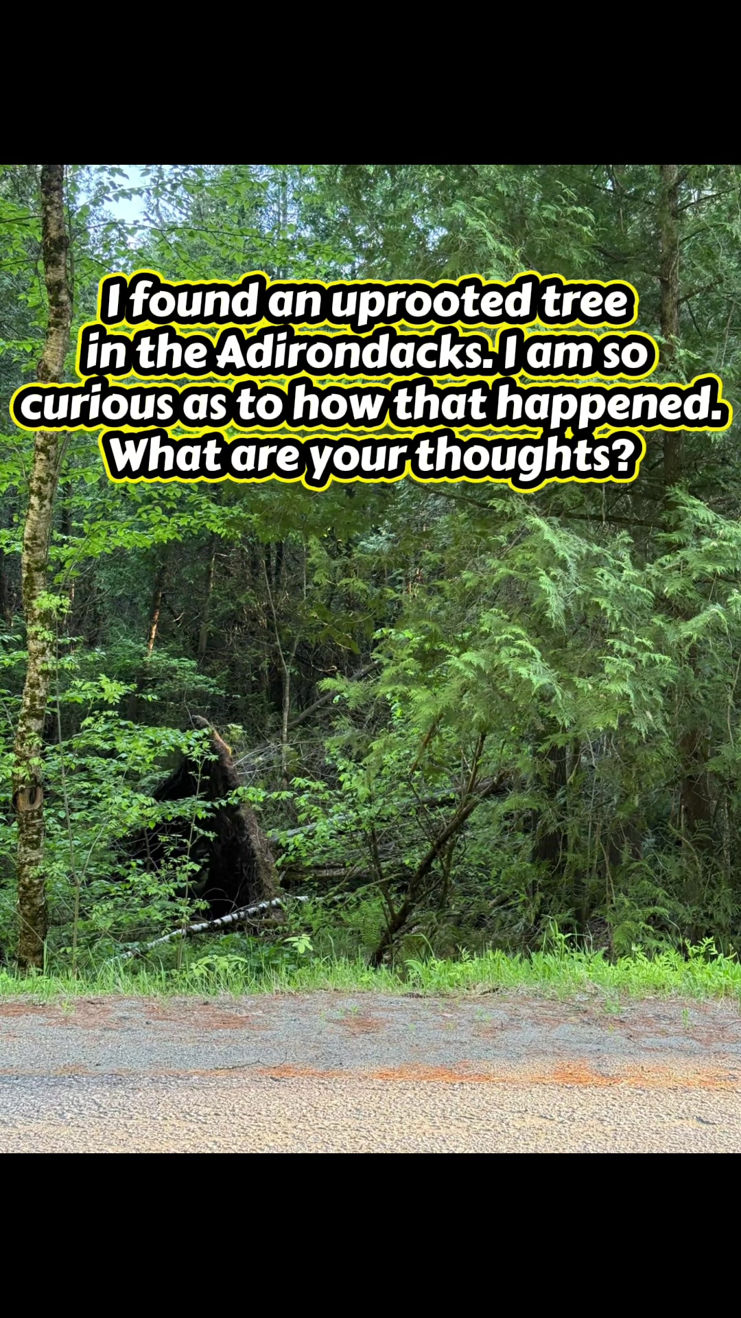 @ADK Nani