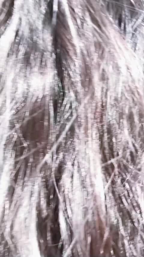 @बिनिता श्रेष्ठ