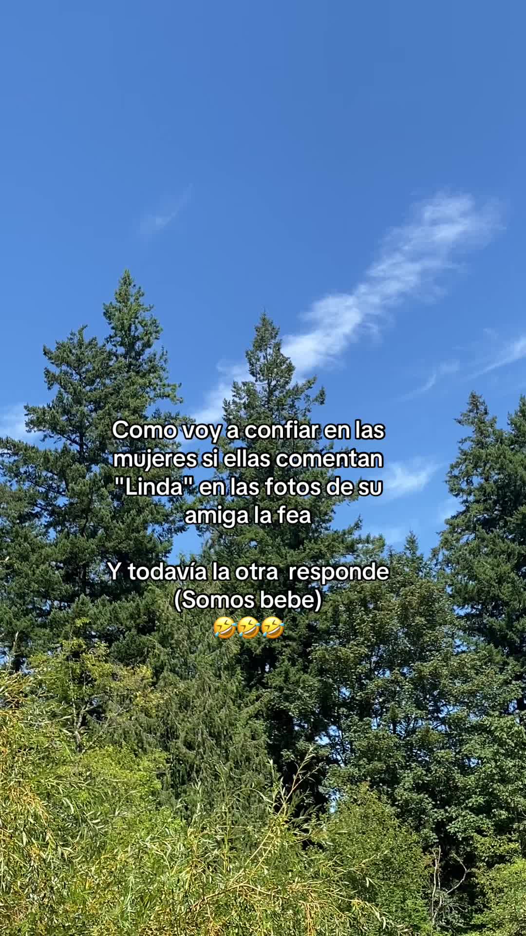 @luisgonzalez1502
