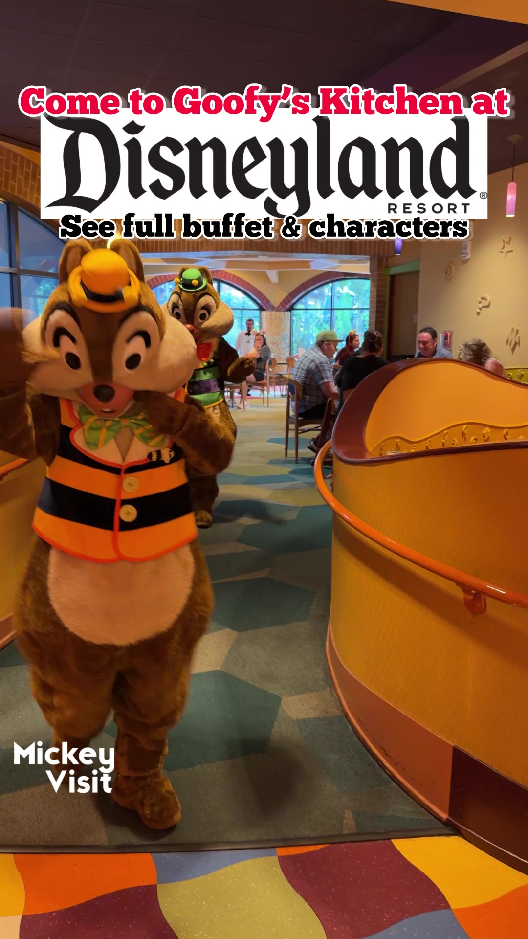 @Mickey Visit: Disney Guide!