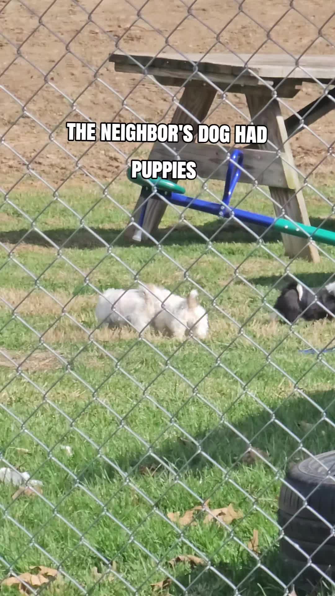 @Gooberwares