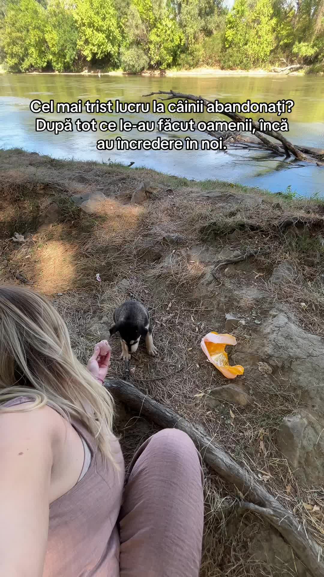 @simevalentina