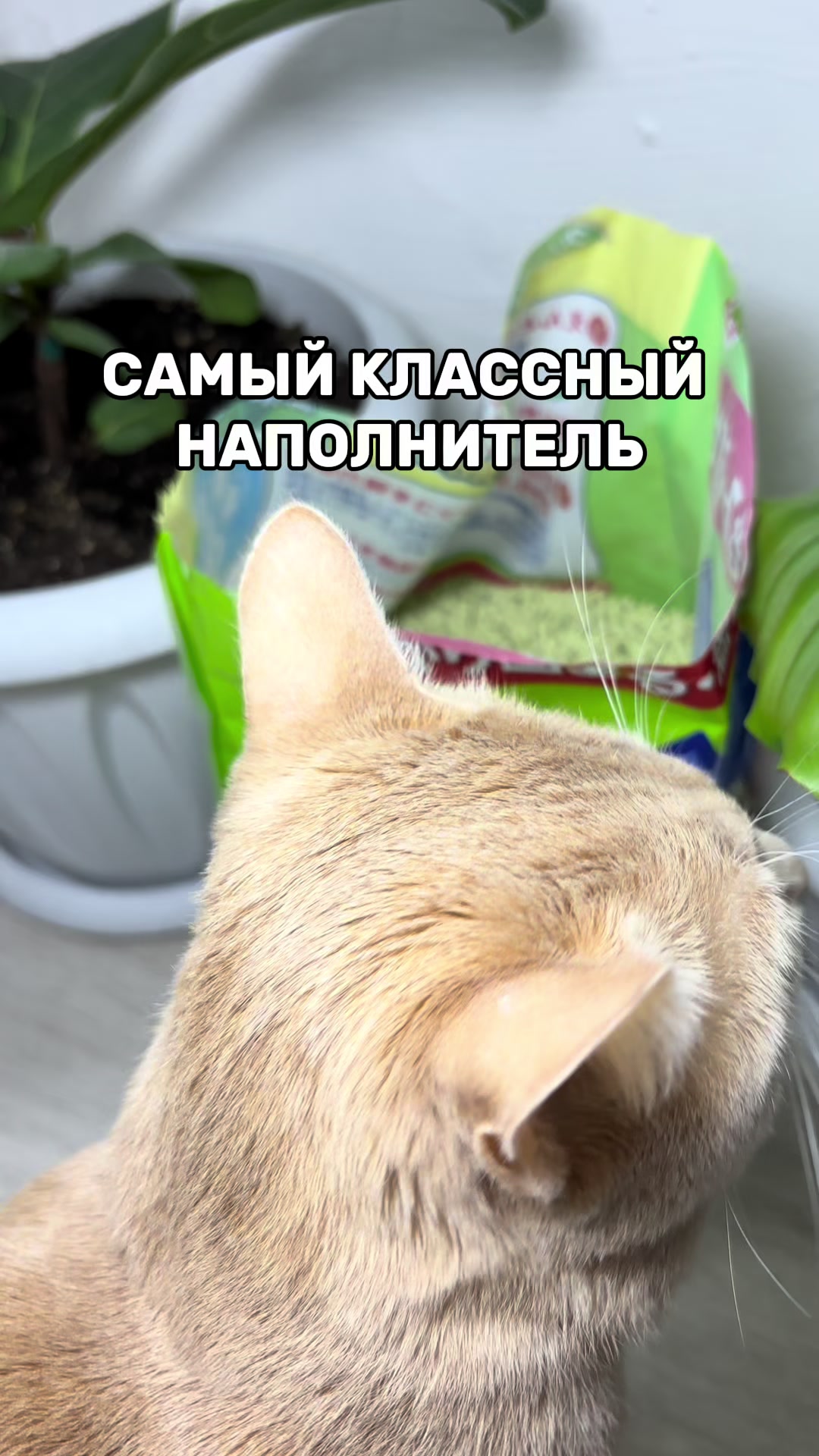 @Лена