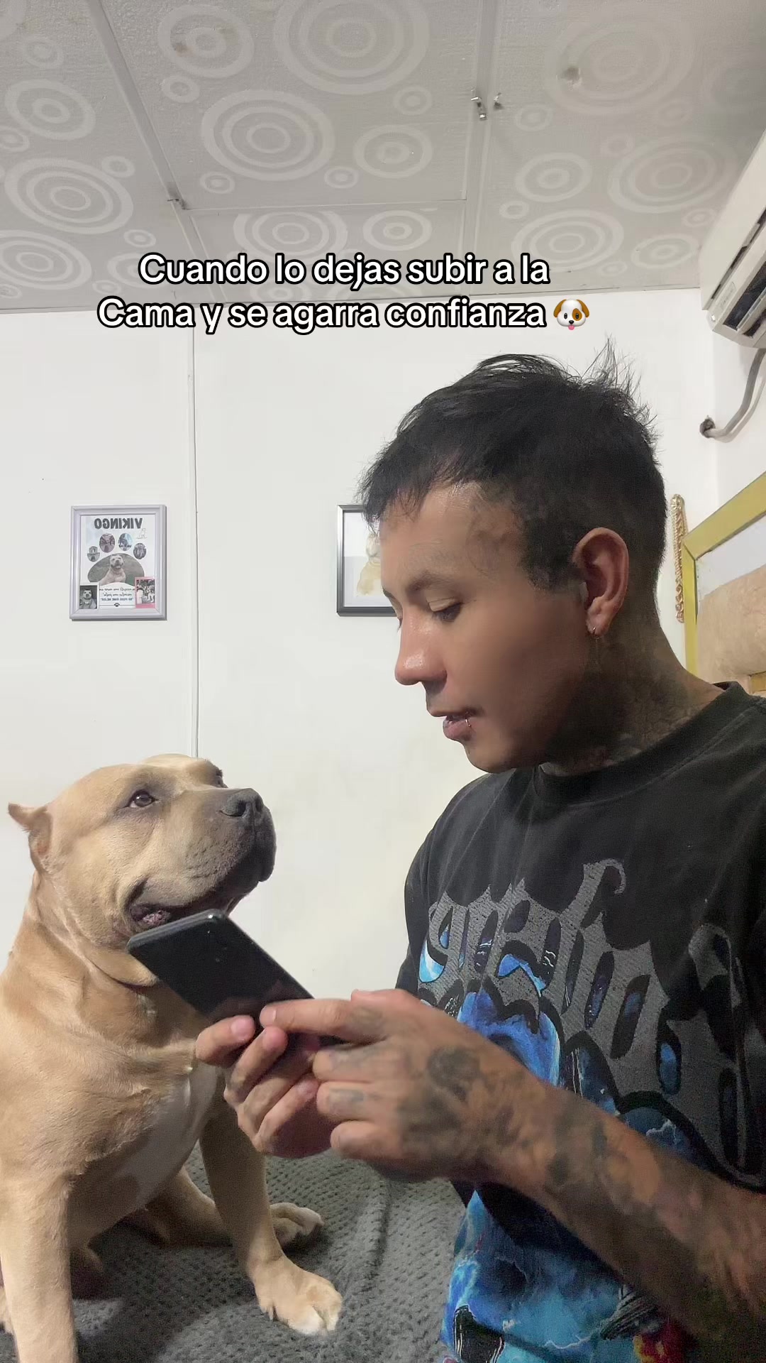 @Vikingo606