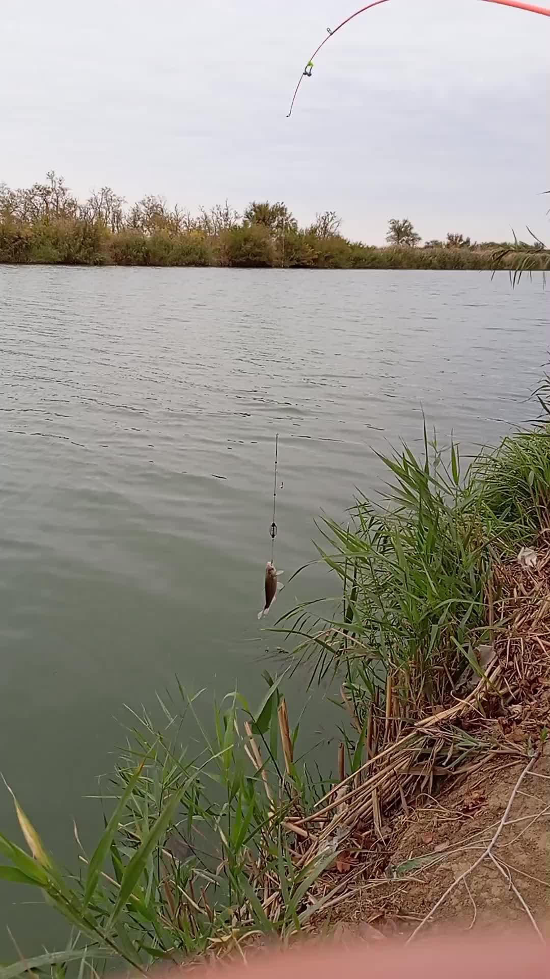@19Юрик61