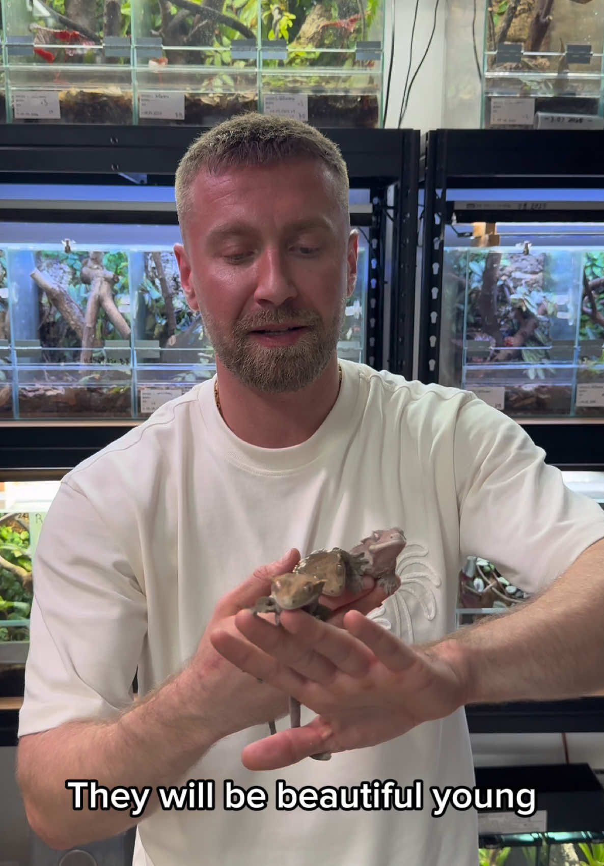 @P&M Gecko Nest🦎