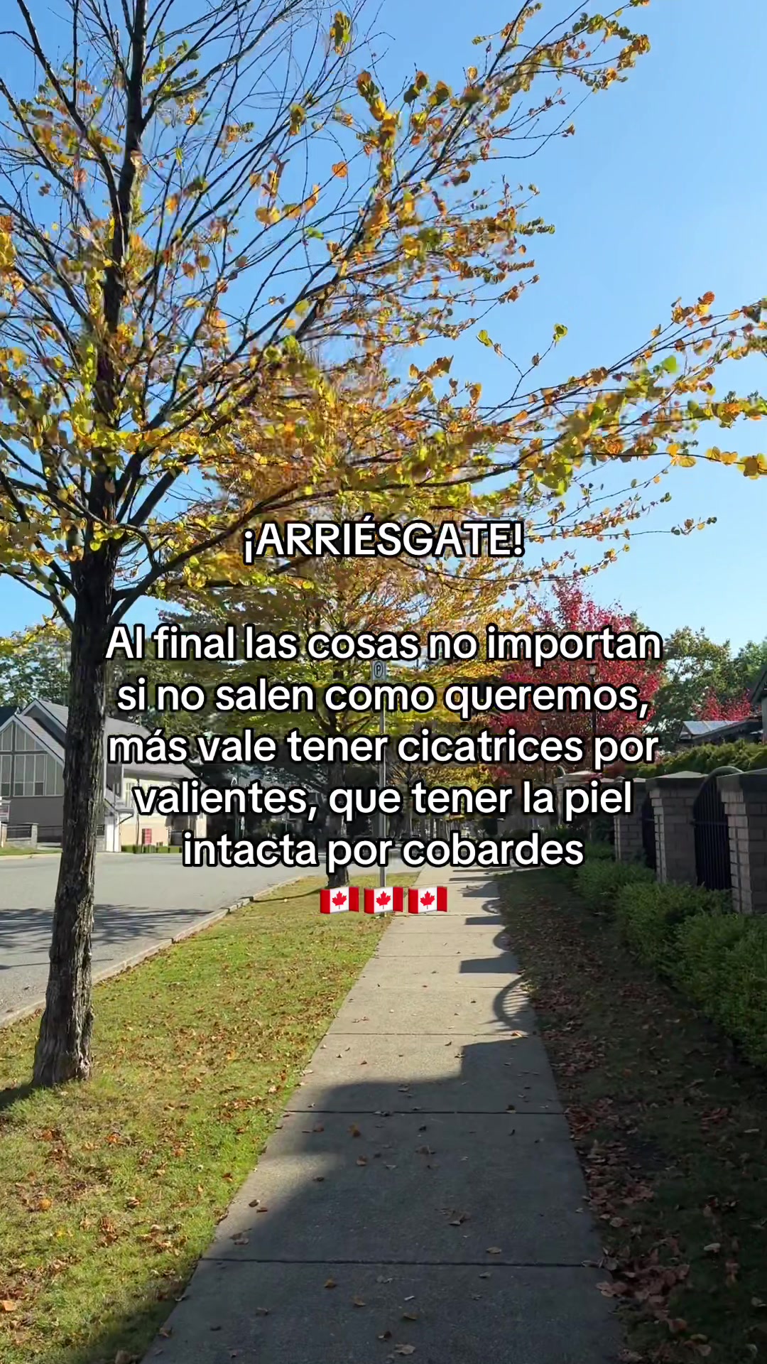 @Steph || Vivir en Canadá 🇨🇦