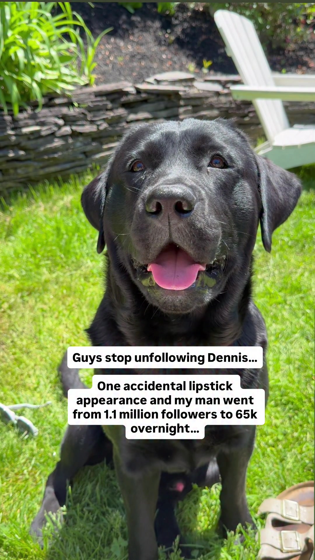 @DennisTheBlackLab